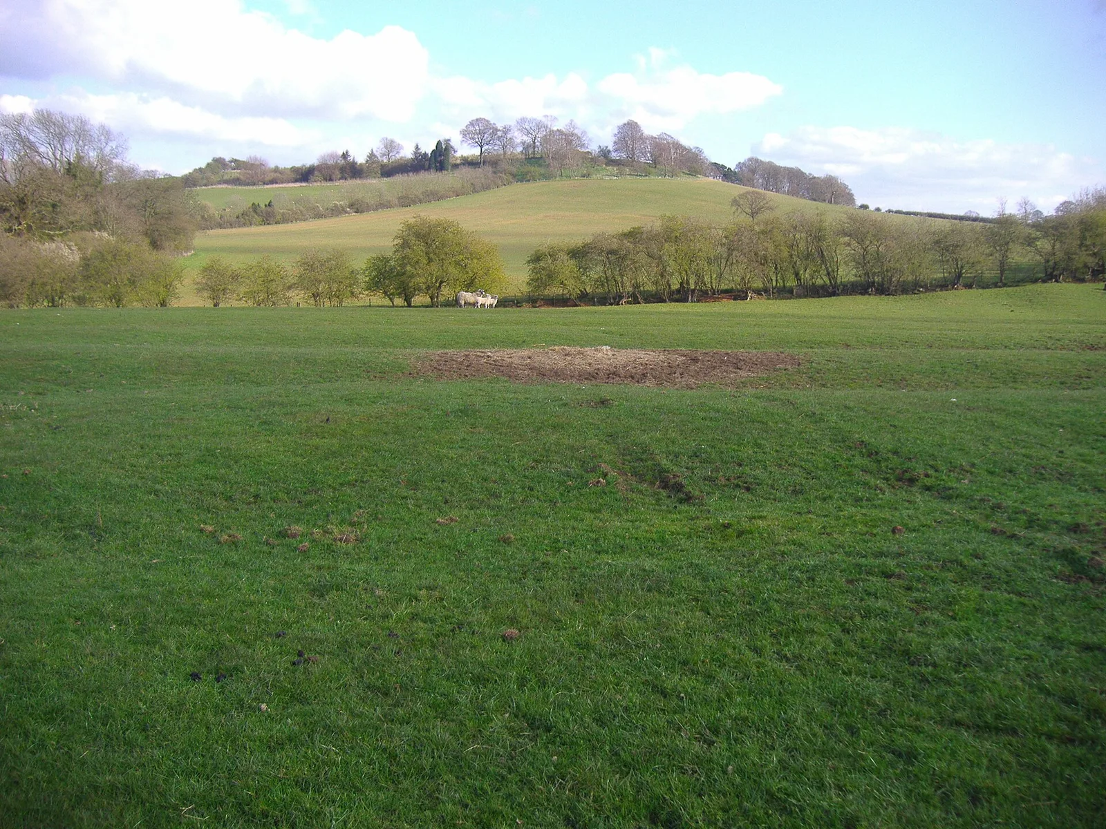 Arbury Hill
